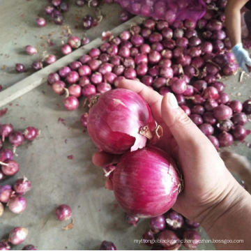 China red onion 5-7 factory supply, high quality fresh onion export